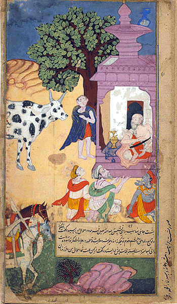 rishi36.jpg