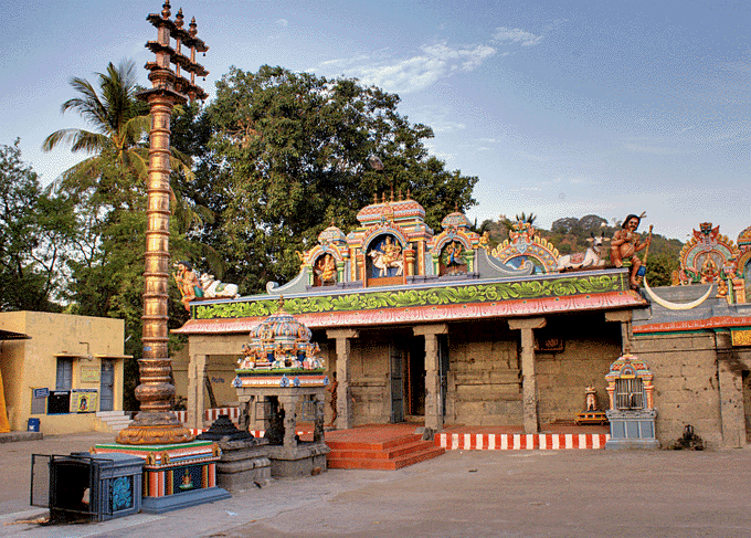 tirusulam2.jpg